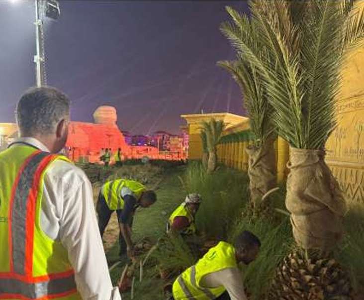 ORASCAPE crew planting palms and grasses in the Egypt zone at Boulevard World
