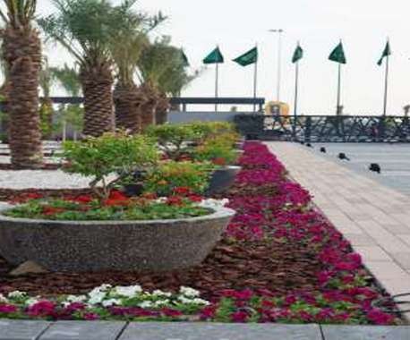 Flower beds and palms along the paved approach