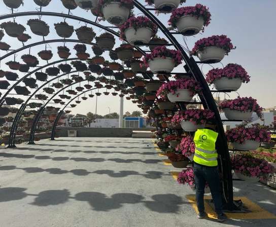 Walkway under arches of hanging flower baskets