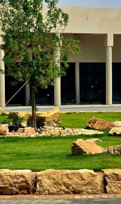 Tree and boulders in front of the Jada Al Khaleej arcade