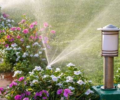 Sprinkler irrigating a flowering planting bed